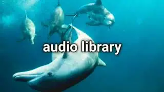 Underwater Exploration - Godmode | Audio Library | Copyright Free Music