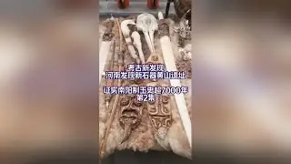 考古新发现 河南发现新石器黄山遗址 证实南阳制玉史超7000年 第2集