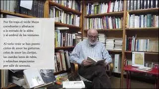 Mi Miguel Hernández en 12 poemas - Romancillo de mayo