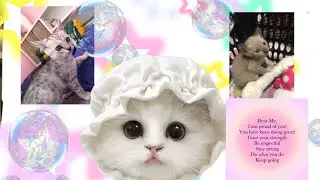 เมื่อเราจำอะไรไม่ได้(ละคนเดลต่าสาวน้อย