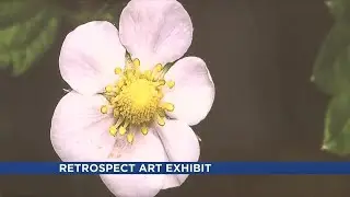 West Nebraska Arts Center set to release latest art exhibit