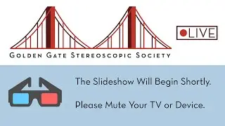Golden Gate Stereoscopic Society's Anaglyph 3-D Livestream