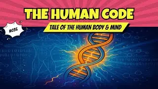 The Power of DNA The Human Blueprint