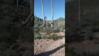 Sweetwater trail