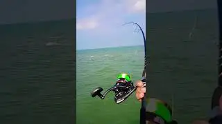 day five of trying to catch monsters in Corpus Christi Texas #fishing #southtexas
