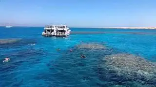 Thomas Reef Tiran Island Sharm El Sheikh 2015