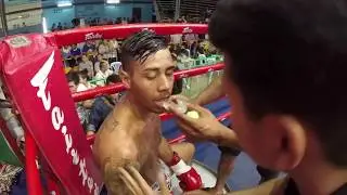 Muay Thai Fight