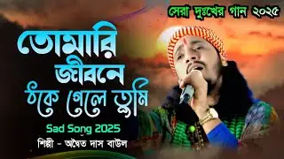 তোমারি জীবনে ঠকে গেলে তুমি ! Tomari Jibone Thoke Gele Tumi ! Adwaita Das Baul !  অদ্বৈত দাস বাউল 