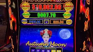 D Lucky Experience in Las Vegas LIVE Slot Tournament 12/30/25 @ RIO VEGAS
