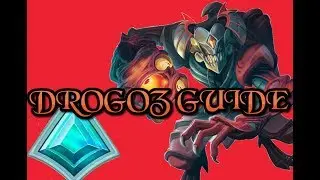 Paladins Guide [ Drogoz Build ]