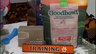 Prepare For Your Perfect Puppy!
