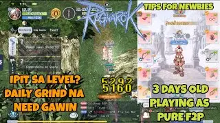 The Ragnarok - Basic Guide For Newbie F2P ka rin ba? Part 1