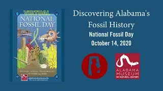 Discovering Alabama's Fossil History: An Interview with Dr. Doug Phillips