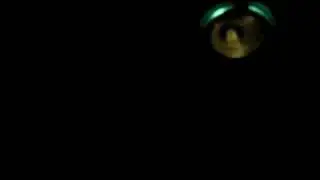 The Young Playthings see a UFO
