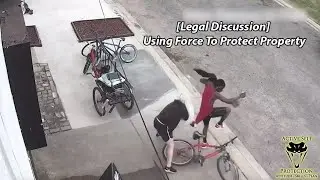 Using Force To Protect Property