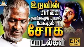 உறவின் பிரிவை தாங்கமுடியாமல் கேட்கும் சோக பாடல்கள் | Ilaiyaraja Soga Padalgal | 80s Sad Songs