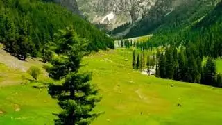 Janshae Meadows, Swat.