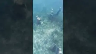 The Secret Underwater Statues Of Ocean Cay