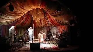 The Mosses Project  & Sergey Letov                             Ethnoscope'24