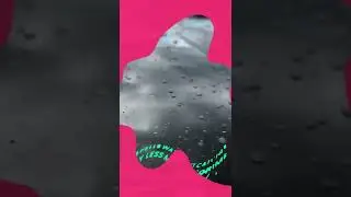 Undrdog Pro In Action