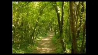 PIERRE BACHELET  le ch&ecirc;ne.wmv