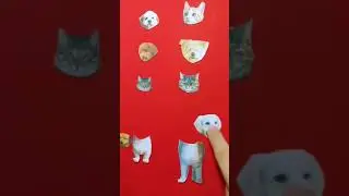 Mi Amor💃 || WRONG HEAD CHANGE || Oye Playful Puzzle #shorts #games #puzzle #fun #funny