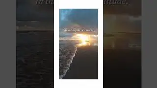 Daily Motivational Quotes #1