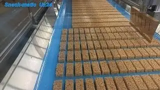 Snack-matic&reg;Ux24 Granola Bar line,Cereal bar production,Ultrasonic cutting,Energy Bar,SnackBar line