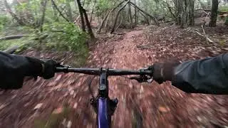 PUC Forest, Angwin, The Chute, 12.19.2023