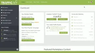 Traffic Ivy Review
