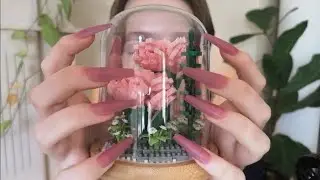 fast not aggressive tapping for asmr #47 (no talking)