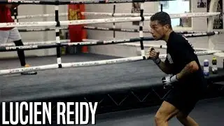 The Boxer Profile | Lucien Reidy