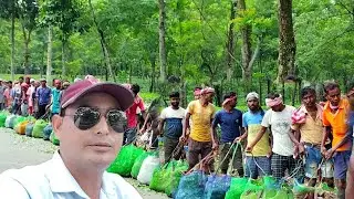 Adivasi People Of The Tea Garden Of Dooars West Bengal || India || @D. Vlogs 225