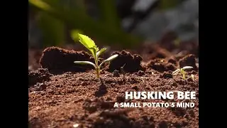 【cover】HUSKING BEE / A SMALL POTATO'S MIND