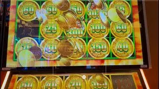 &ldquo;Mega Win! Progressive Jackpot Hit on the Split n Link Bonus! 🎉💵&rdquo;