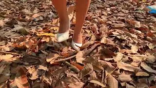 ASMR of a girl&rsquo;s footsteps walking into a forest with lots of dry leaves and trees on the ground 