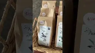 Shop bird friendly coffee