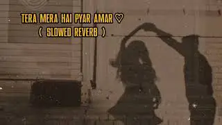 Tera Mera Hai Pyar Amar ( Slowed Reverb ) ❤️‍🩹