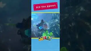 Moley / Did you Know? / Great Barrier Reef