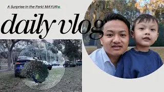 पार्कमा रिन्जेन र मयूर 🦚 | Unexpected Peacock Encounter | A Beautiful Day at the Park 🦚🌿
