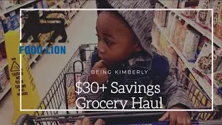 GROCERY SHOPPING ON A BUDGET (NO COUPON CLIPPINGS) // FOOD LION GROCERY HAUL || BLACK MOM VLOGS