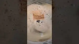 Bite Me Bath Bombs  Sophisticatedcountry.com #dream #soap #work #hard #joy #Strength #bathbombs