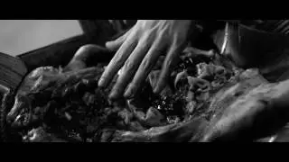 Exotic Food (clip of Embrace of the Serpent)