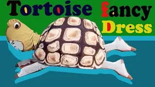 tortoise fancy dress easy making at home