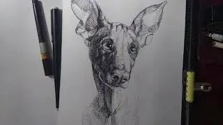 Dog drawn in ink