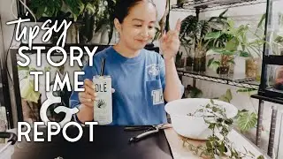 tipsy storytime & repot 🥃 exposing the most mortifying experience of my life