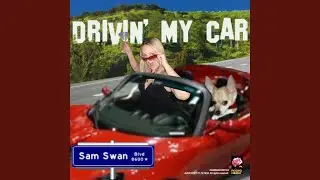 American Beauty Queen