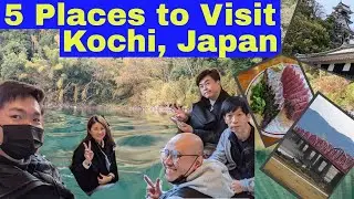[JAPAN] 5 Places to Visit Kochi Japan