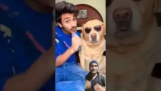 Suno goor Se India Walo 😂 #funnyvideos #dog #shorts
