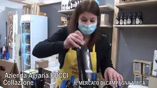 Azienda Agraria Pucci Collazzone